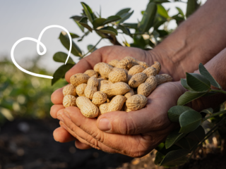 Intersnack’s 2024 Sustainability Report Intersnack’s 2024 Sustainability Report